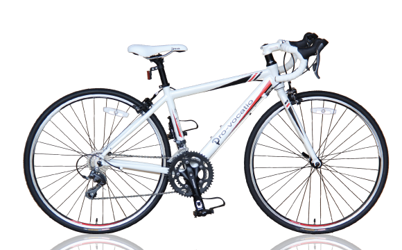 オリジナルブランド プローウォカティオ　ヴィクトル650